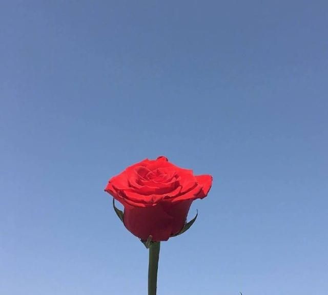 点赞过亿的早安说说,温暖美好,读着就是一种享