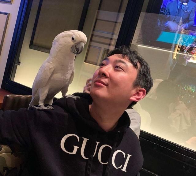 王思聪删博是怂了?花千芳又怎么能让一个字一千万?
