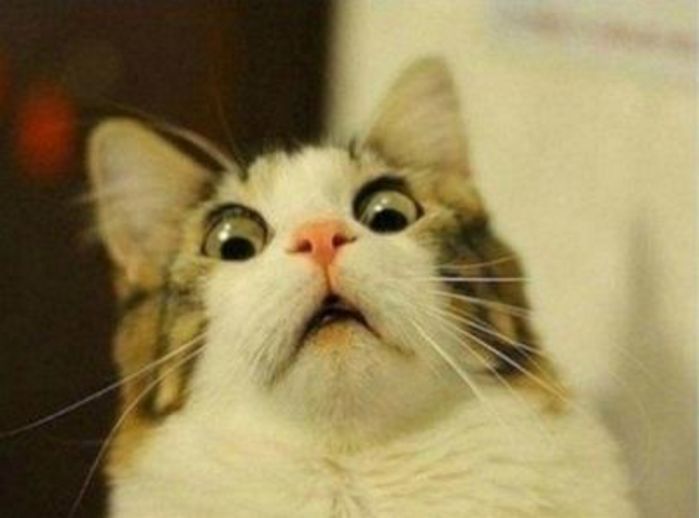 闹心了!自贡这家健身公司圈钱跑路了?