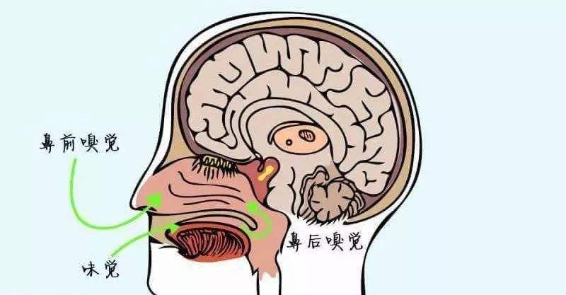 失眠睡不着常见原因 如何快速改善睡眠质量