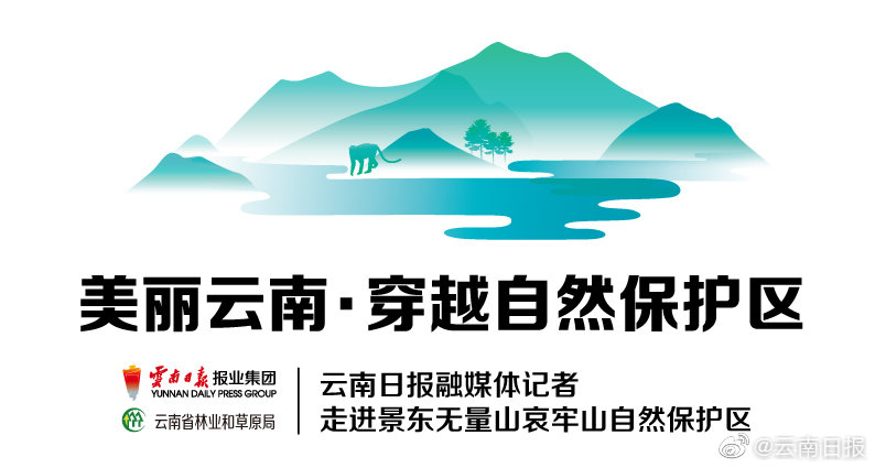 自贸“试验田”创新成果不断