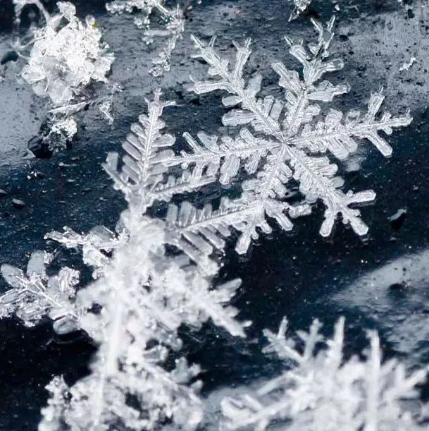技巧｜如何拍一张霸气的雪景？这份秘籍送给你