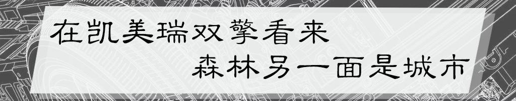 Ϊʲô˵������˫����һ���ܡ�ԭʼ���ĳ�����