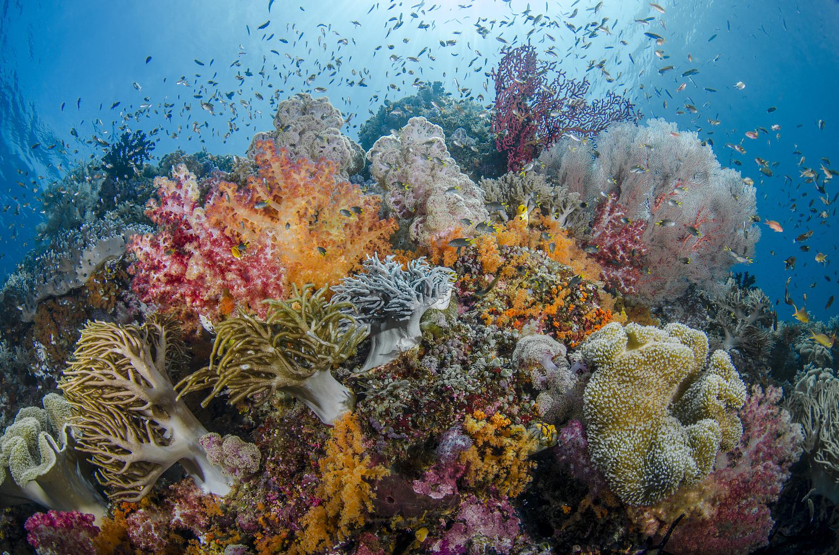 湖南新华书店招聘来袭!招聘岗位、人数、报名