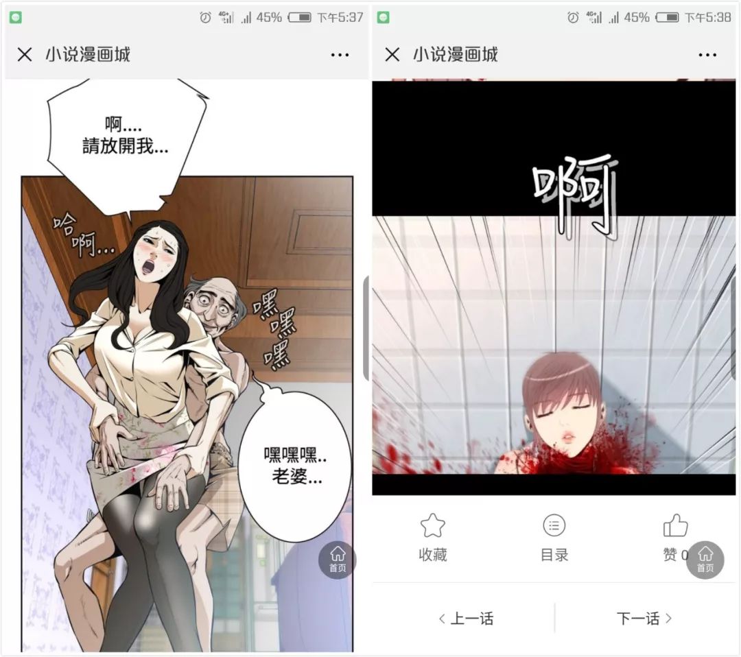 （左为《窥视者》，右为《奇美拉命案》）