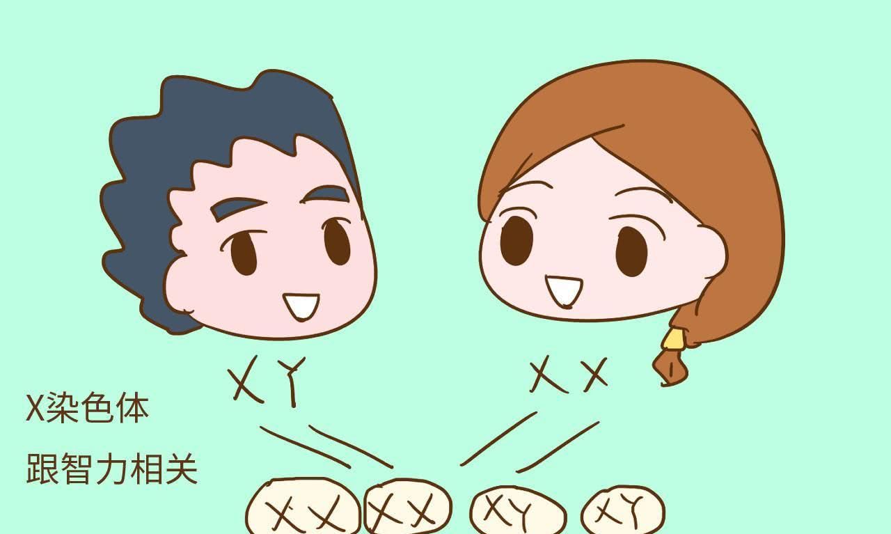 智商遗传自母亲?孩子不聪明是因为妈妈吗?