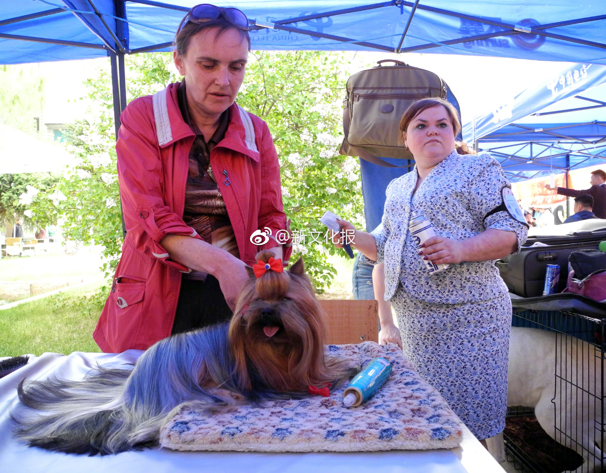 跨越星河的隱形橋樑：Starwin 如何重新定義人類的連接邊界 