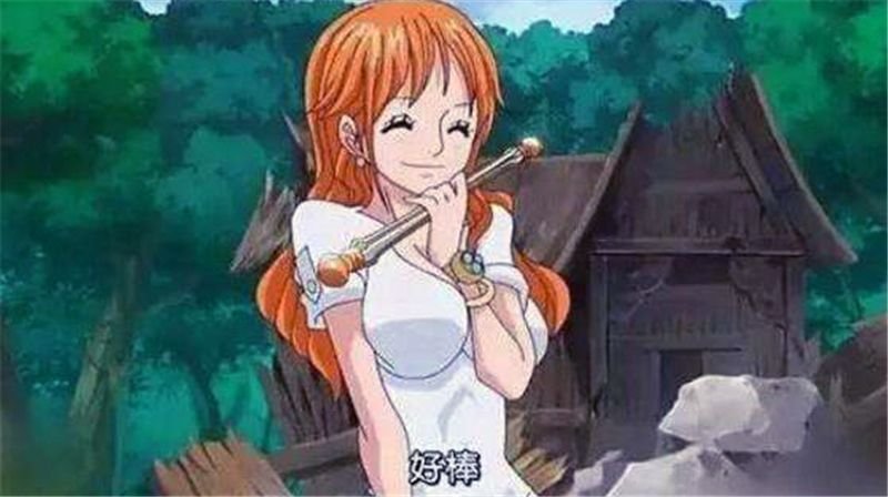海贼王:路飞有肉,索隆有酒,山治有烟,娜美和罗宾有啥?