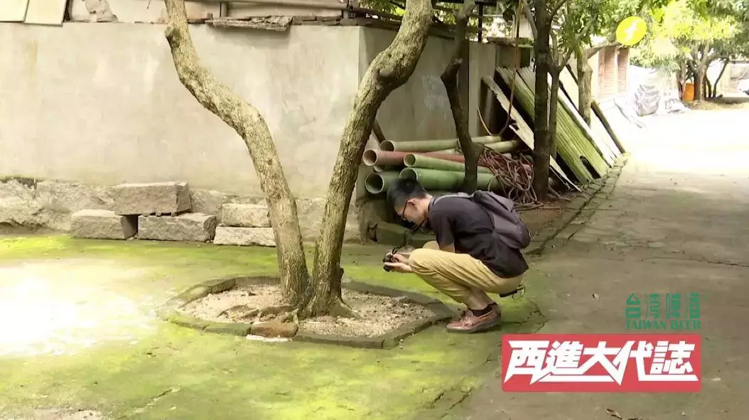 从台湾人到厦门人转换不用三个月?!