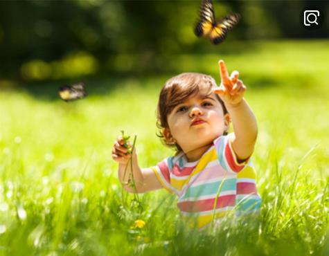 惊蛰,蛰虫惊而出走;这些会伤害宝宝的虫虫也开始蠢蠢欲动啦 惊蛰,蛰虫惊而出走;这些会伤害宝宝的虫虫也开始蠢蠢欲动啦