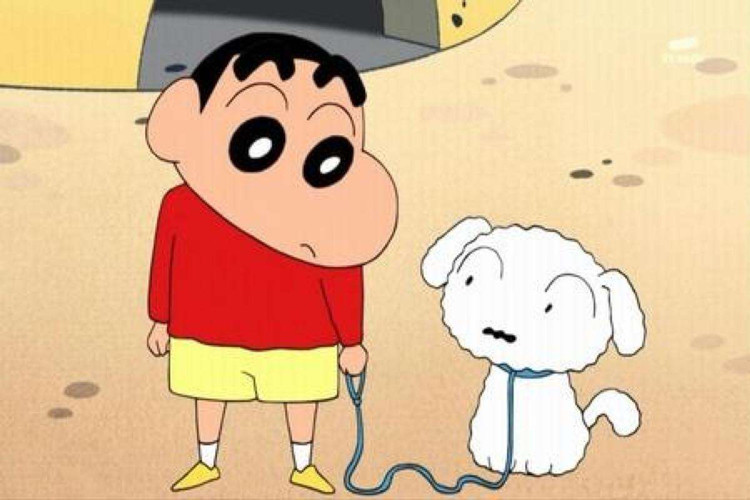 蜡笔小新冷知识:小白是什么品种的狗，小新在现实中有真人原型?