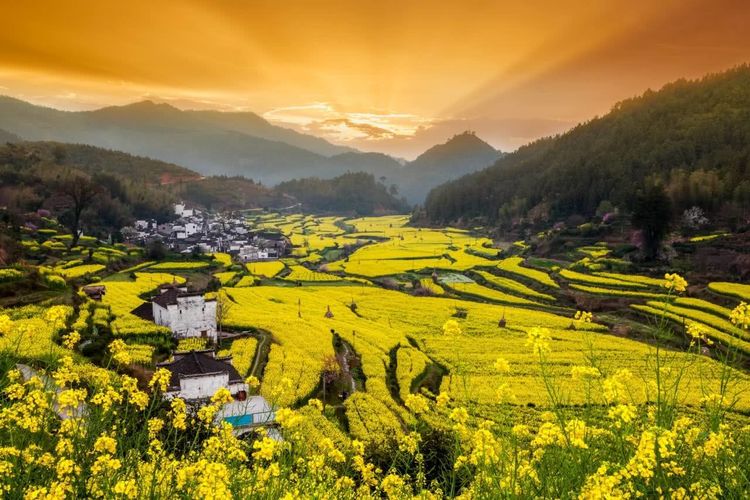素有"中国最美乡村"之称的江西婺源,悠美景色恍若身在
