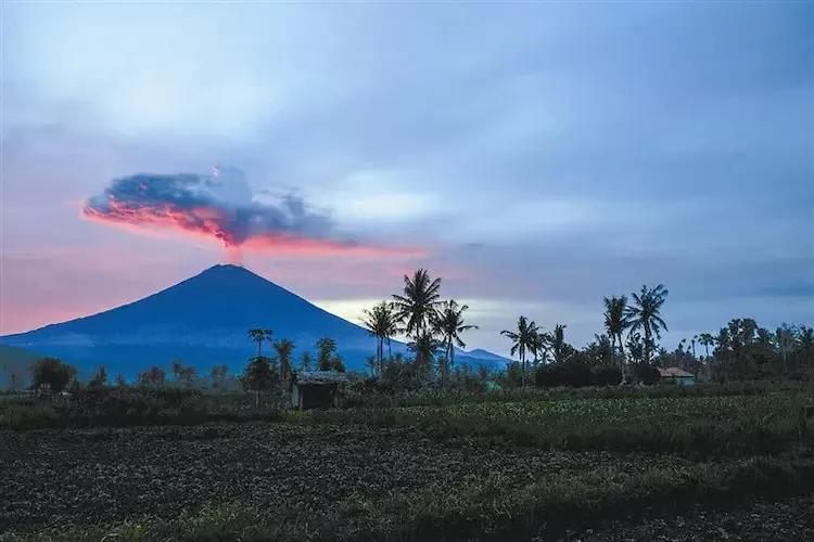 中国这次撤侨收取了费用?只因游客不听劝阻,网