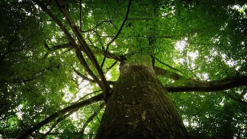 桐梓这个不为人知的绝美山村 你去过吗