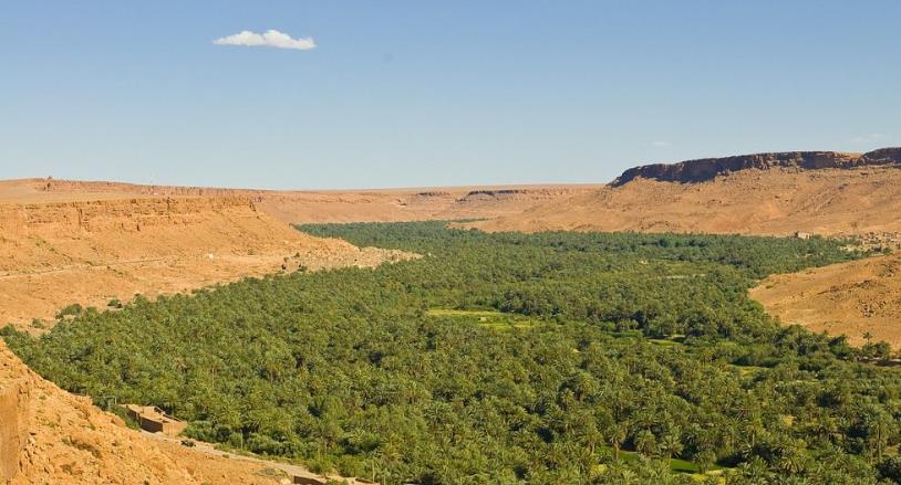 沙漠变绿洲?中国沙漠“神器”,一天固沙50亩,各国争相进口!