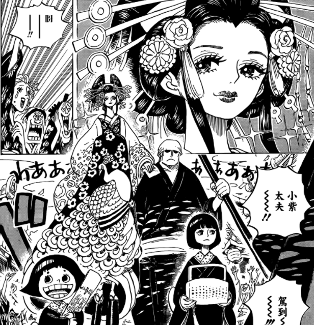 海贼王 小紫又是公主 又是曲线救国 尾田已经江郎才尽了