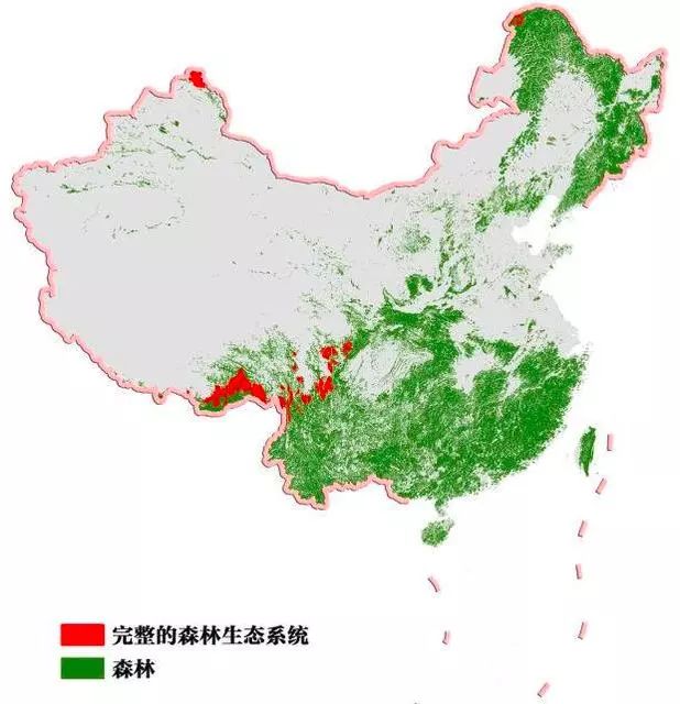 中国森林覆盖率最高的五个城市,有你的家乡吗?