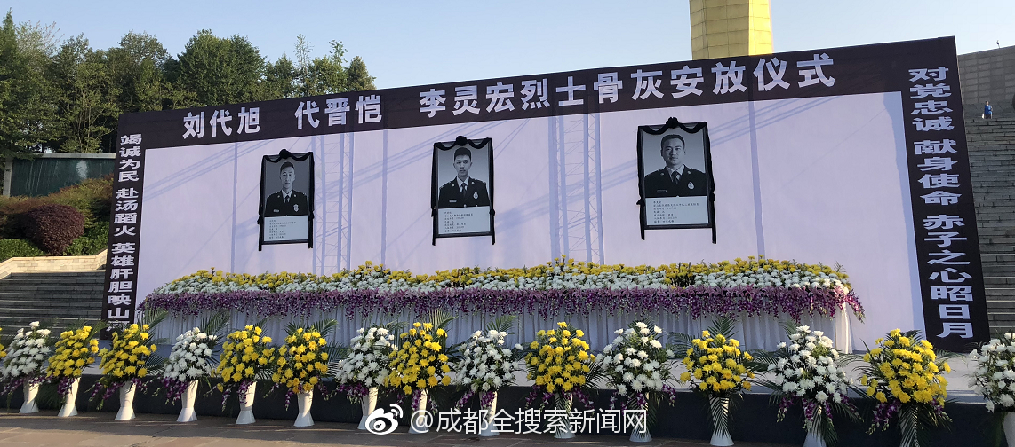 2025澳门精准正版免费综合解答,与解释落实