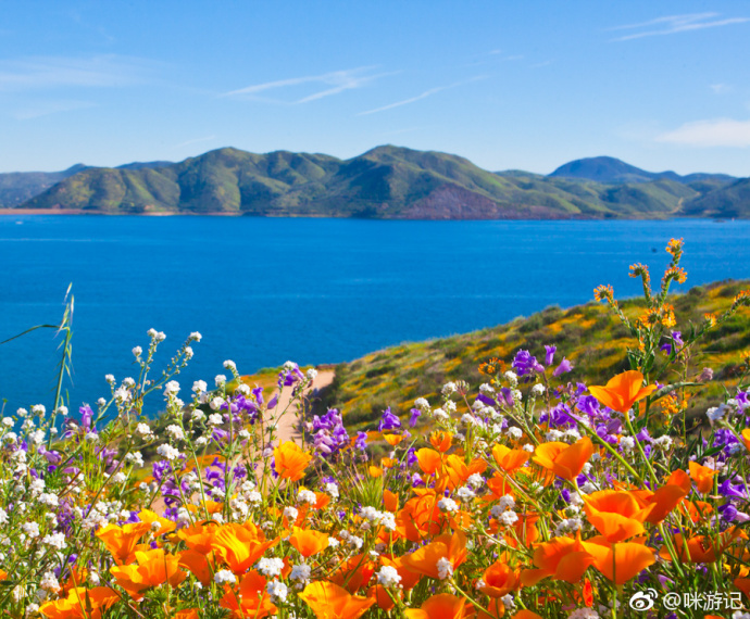 看野花不必總是瀘沽湖格?；? title=