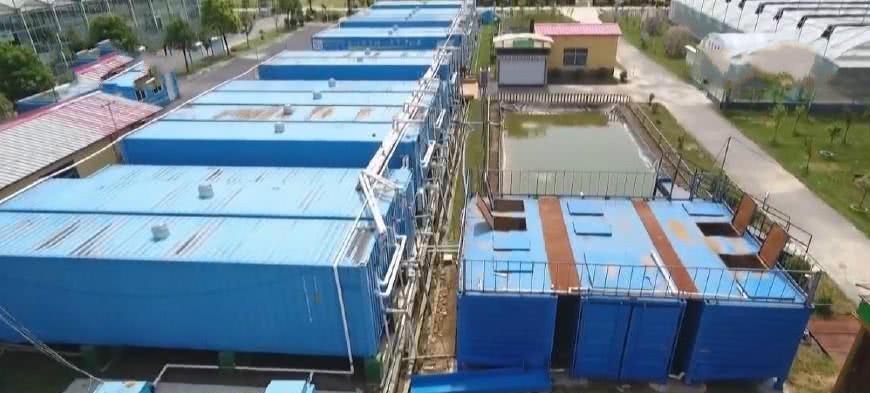 农民用集装箱养鱼 只用半亩地年产16万斤 每年