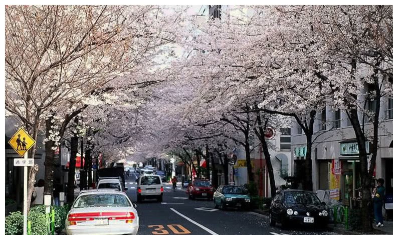 日本为什么那么干净,列出的这些原因,你认可吗