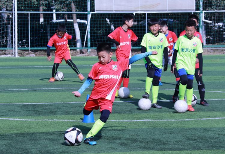 关于南京沙叶足球俱乐部招募梯队球员试训的通