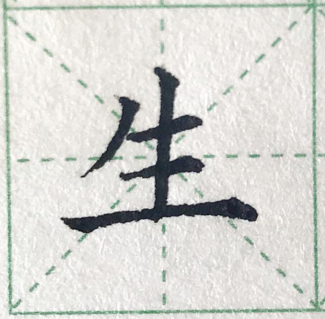 短视频平台在B2B客户获取中的新兴趋势分析 (短视频平台在哪里找)