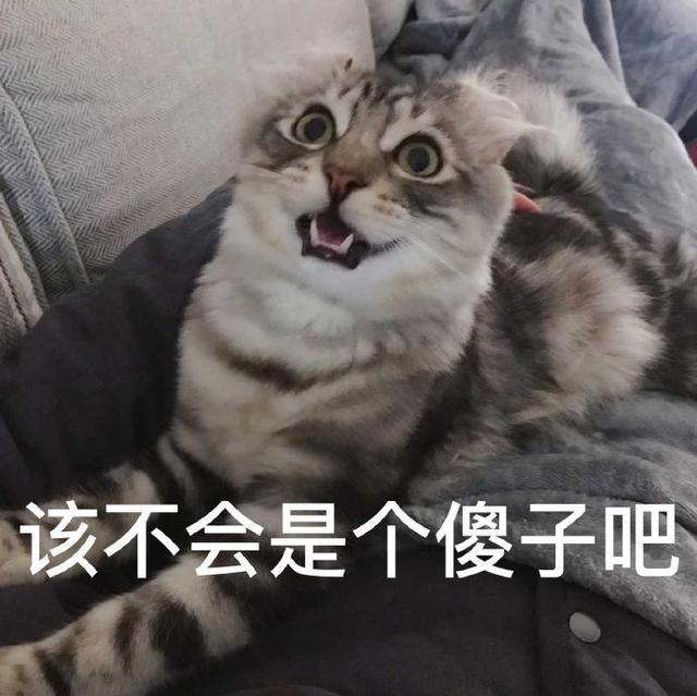 该不会是个傻子吧