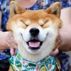 解锁三亚各种貌美泳池,享受狂欢清凉盛宴!