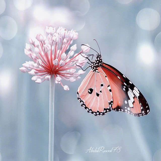 适合早上发说说的句子,温暖美好,沁人心脾!