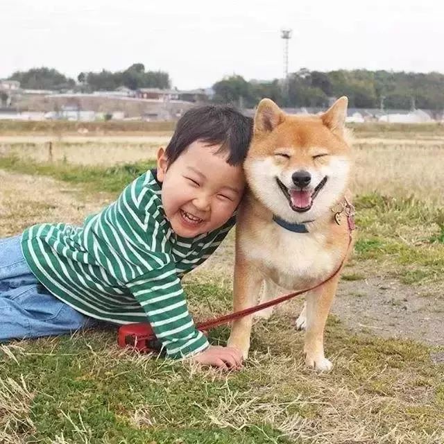 柴犬单独照料刚出生小主人,晃动摇篮哄宝宝入睡,忍不住亲了一口