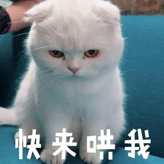 十条笑话:我刚中毒了,急需一个火龙果救命!