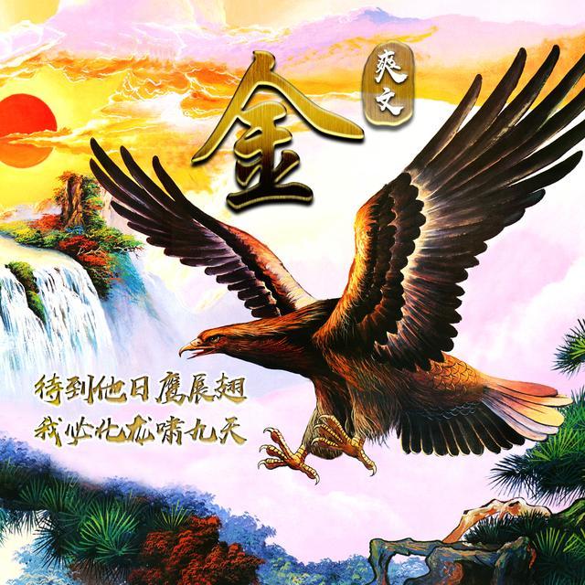 鹰飞长空,16款霸气头像送给你,你的姓氏就在其中