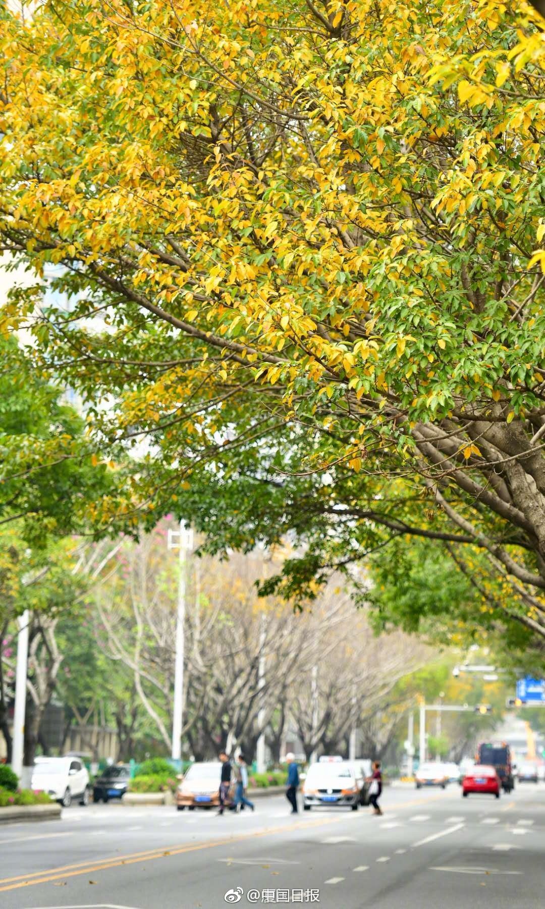 四川正宗水煮鱼的做法