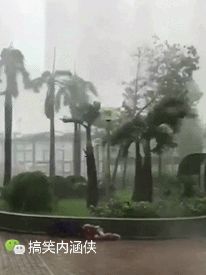 搞笑gif图 带你们看看,广东人是如何对付山竹这