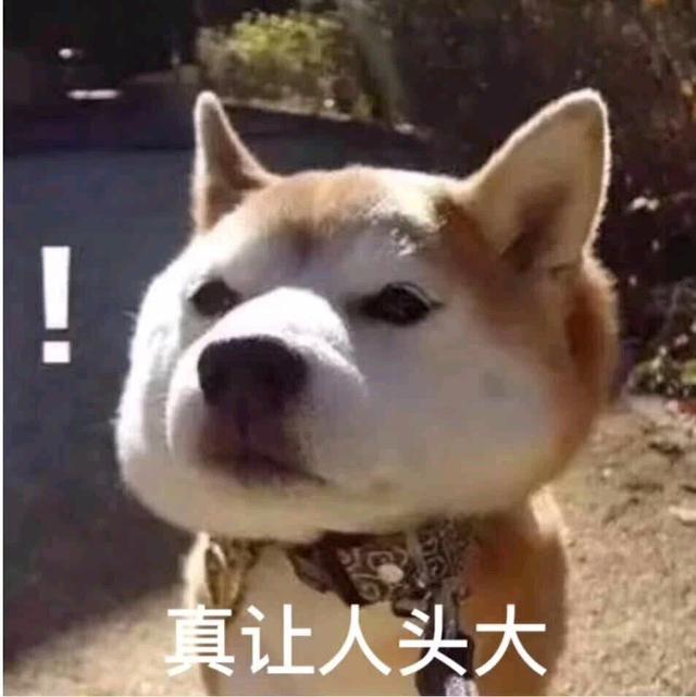 英雄联盟:有哪些看了让人觉得奇葩而又爆笑的聊天记录