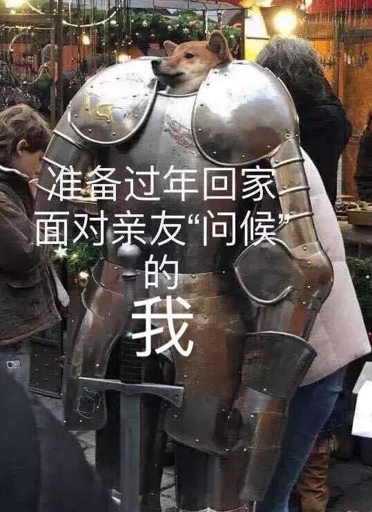 表情包回家过年面对亲友关心的我