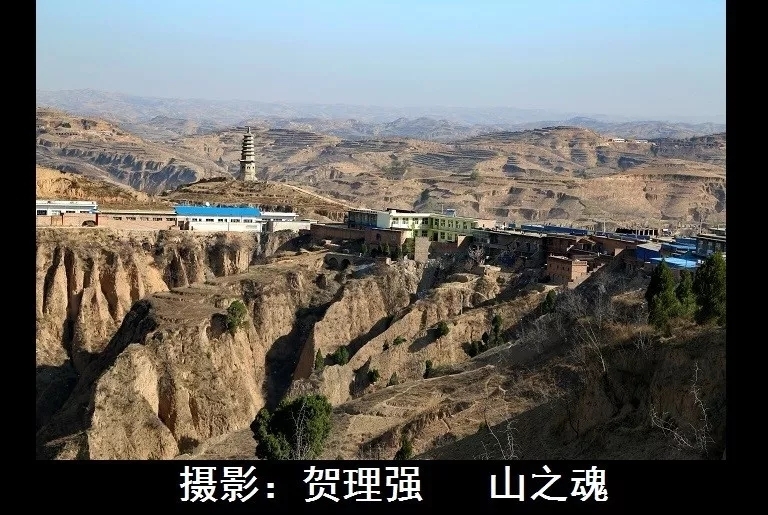 吴堡县和柳林县GDP_柳林 地理(3)