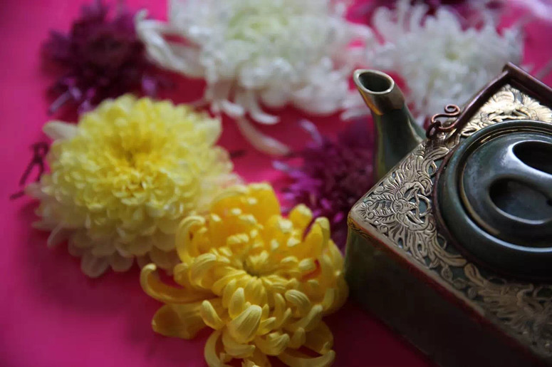 北京旅游观花赏景必去之地 慧田合作社食用菊