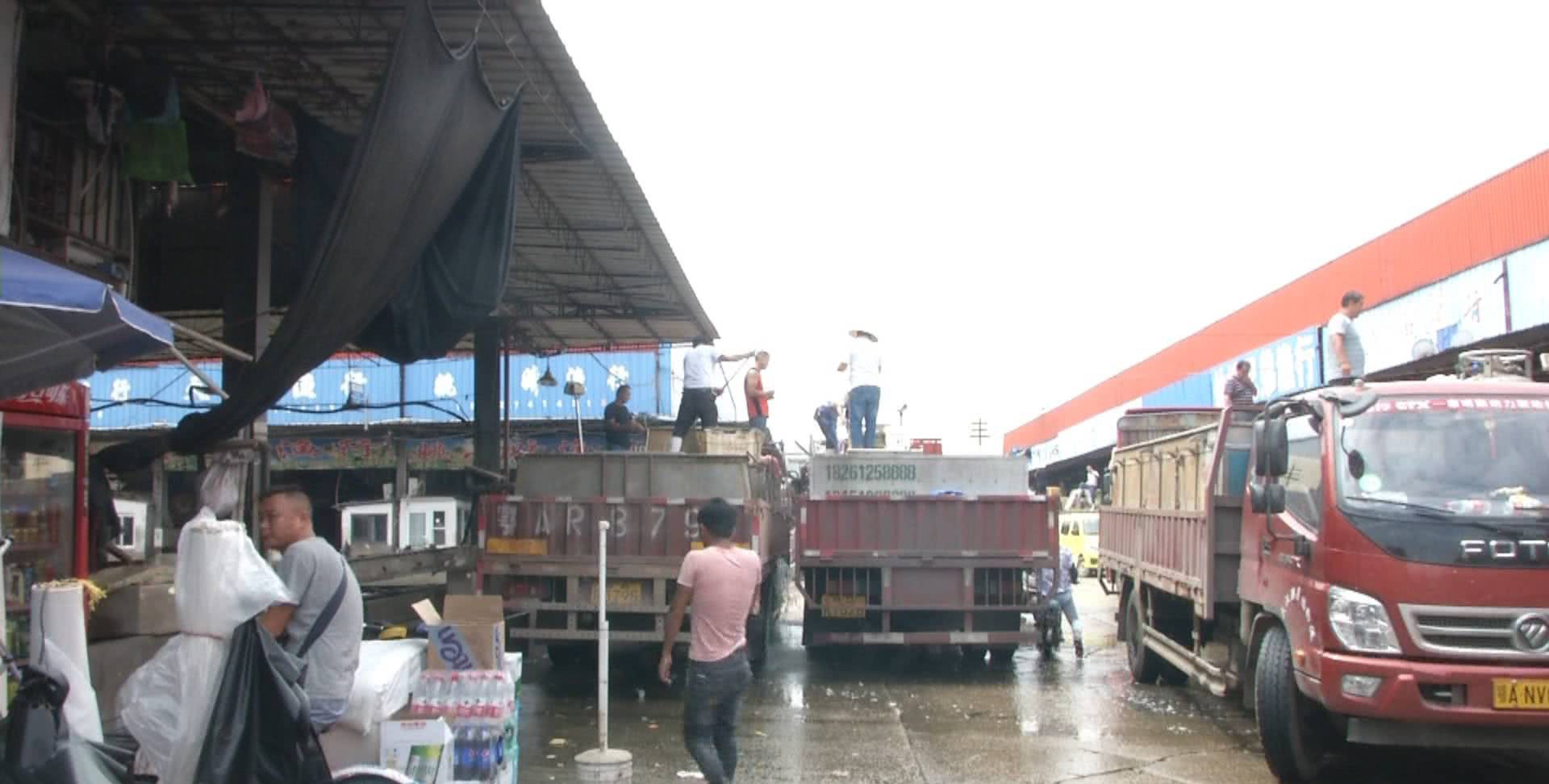 武汉淡水鱼大量上市,批发价走低!草鱼较8月,一