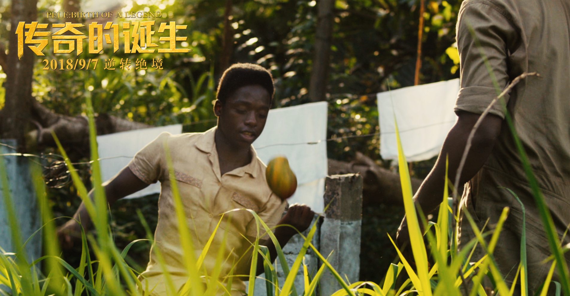 伟大的诞生 新浪网