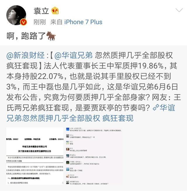 王中军王中磊两兄弟质押华谊全部股权,袁立:跑