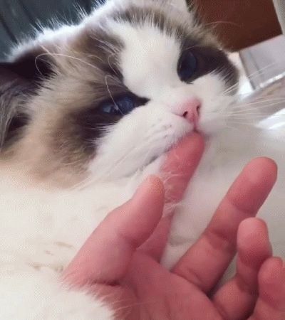 啥是舔舌 2nNv-hnfikve6768974.jpg