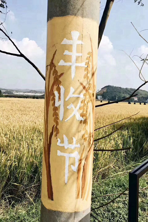 Mitti X yyo丰收节，城里的爸妈带娃去义远有机农场收割野炊啦~