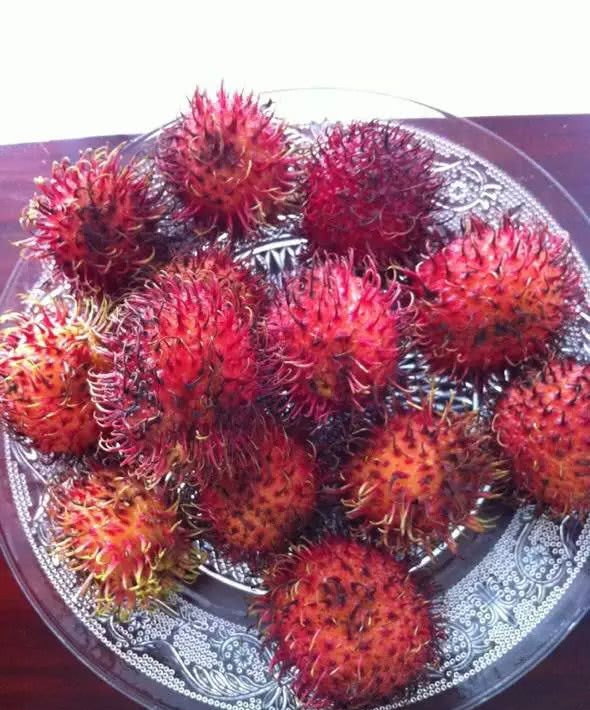6种长刺水果,难吃的有3种,还有一串一串迷你板