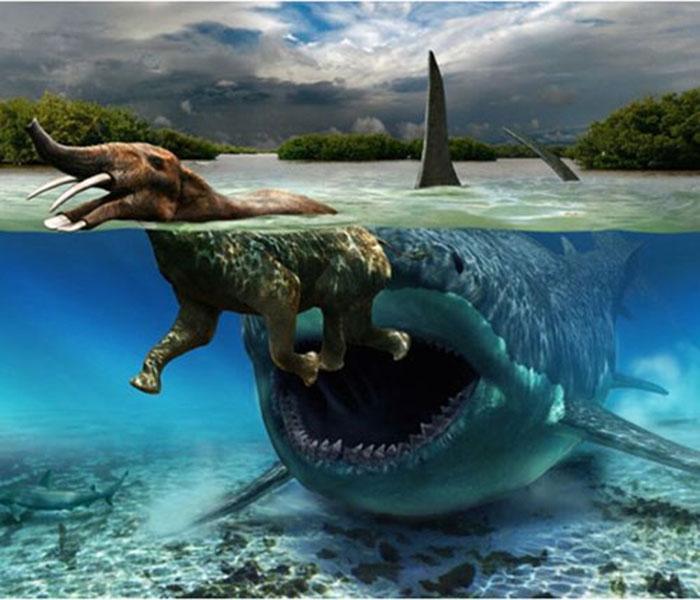 地球上第一个"万物之王",鲨鱼见到都会跑
