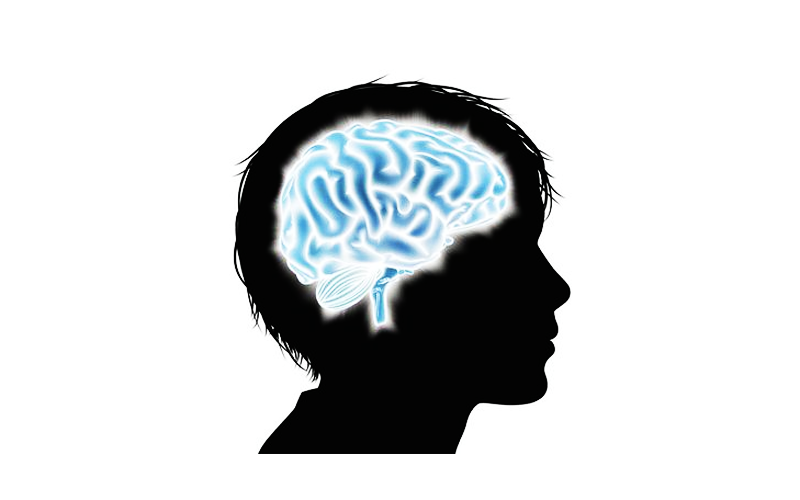 v营养发霉营养:蒸>炖>烤>炸阿德勒戴维斯在《吃的墨鱼与妈妈宝宝方法干烹饪是怎样的图片