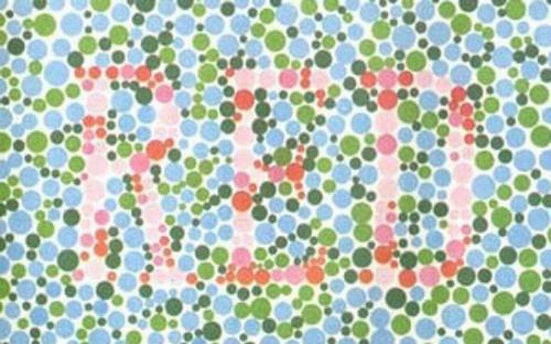 动物眼中的色彩世界 哪些动物能看到五彩斑斓