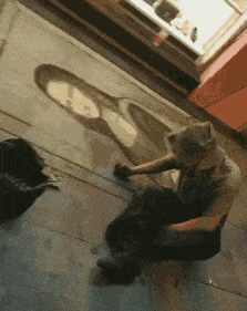 搞笑gif: 世道不公平, 艺人在流浪, 小丑在殿堂!