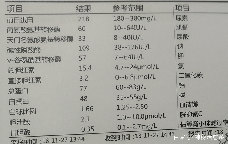 肝功GDP45偏高一点_去医院检查肝功 检查出了小三阳 ,还有别的什么数值偏高,(3)